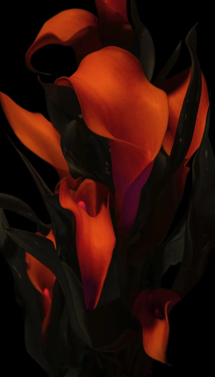 Närbild på blomma